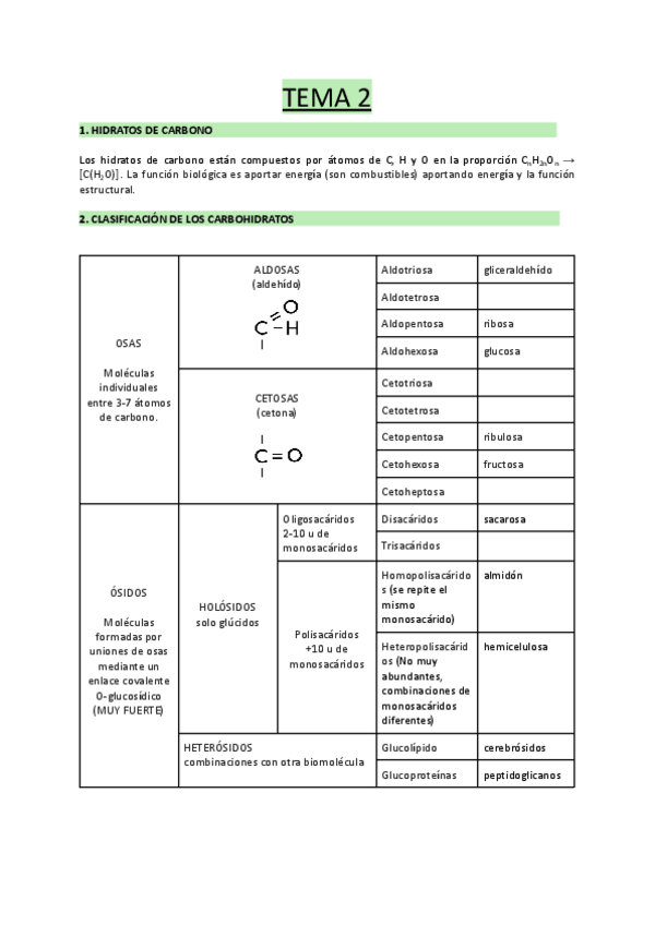 Miniatura del documento TEMA-2-Biomoleculas-organicas-hidratos-de-carbono-.pdf
