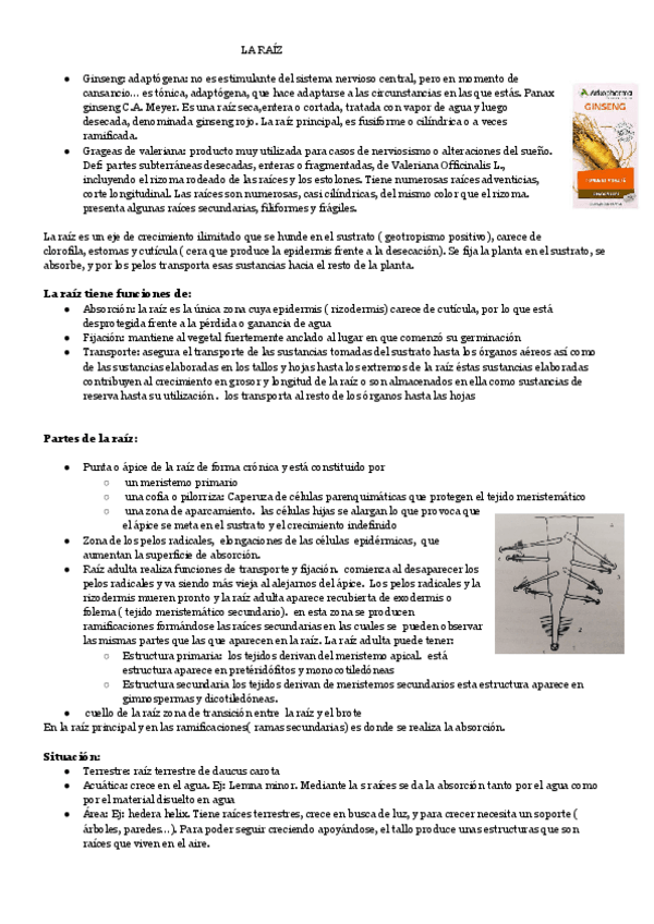 Miniatura del documento LA-RAIZ-2.pdf