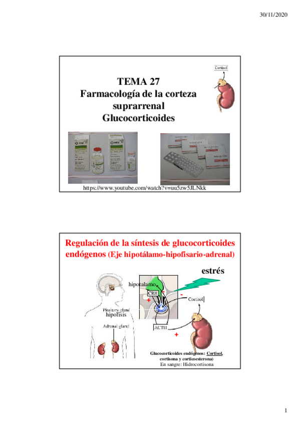 Miniatura del documento 15.pdf