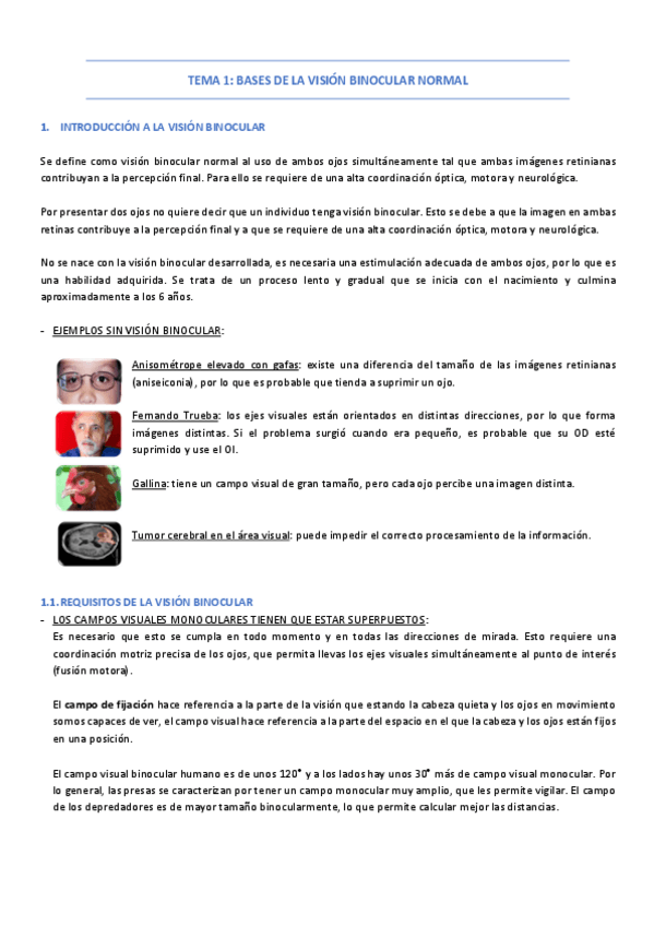Miniatura del documento TEMA-1.pdf