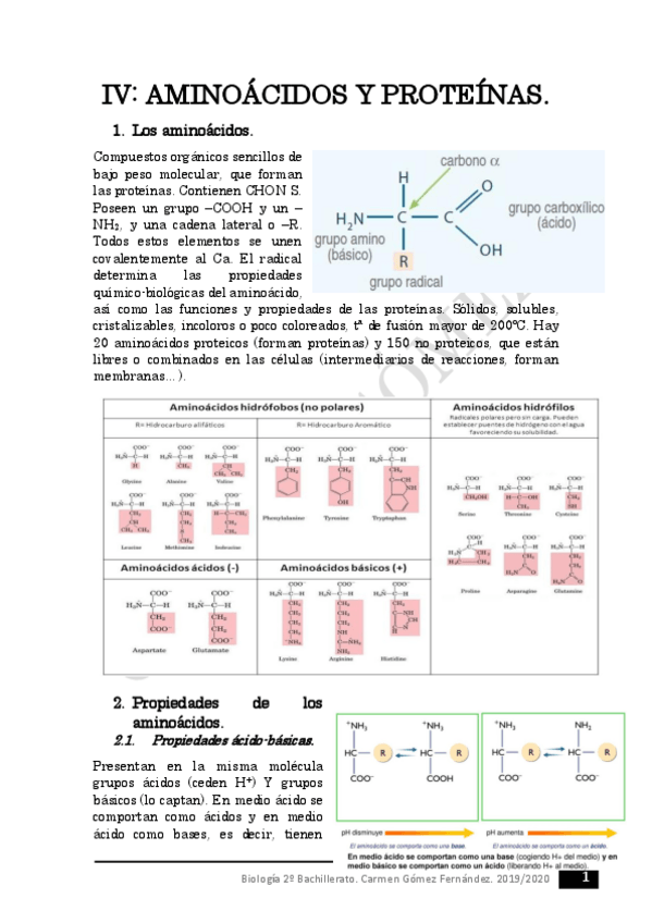 Miniatura del documento 4-IV-AMINOACIDOS-Y-PROTEINAS.pdf
