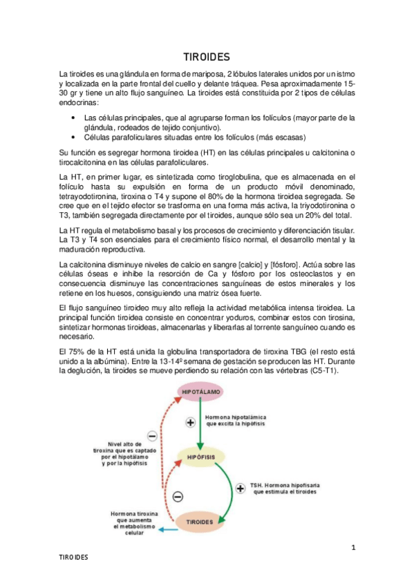 Miniatura del documento 4.pdf