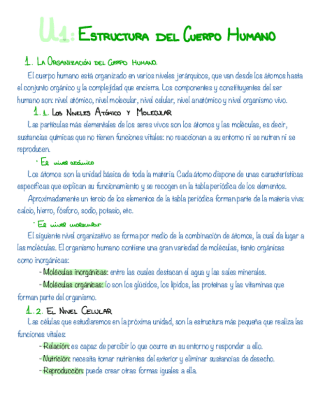 Miniatura del documento U1-Estructura-Del-Cuerpo-Humano-.pdf