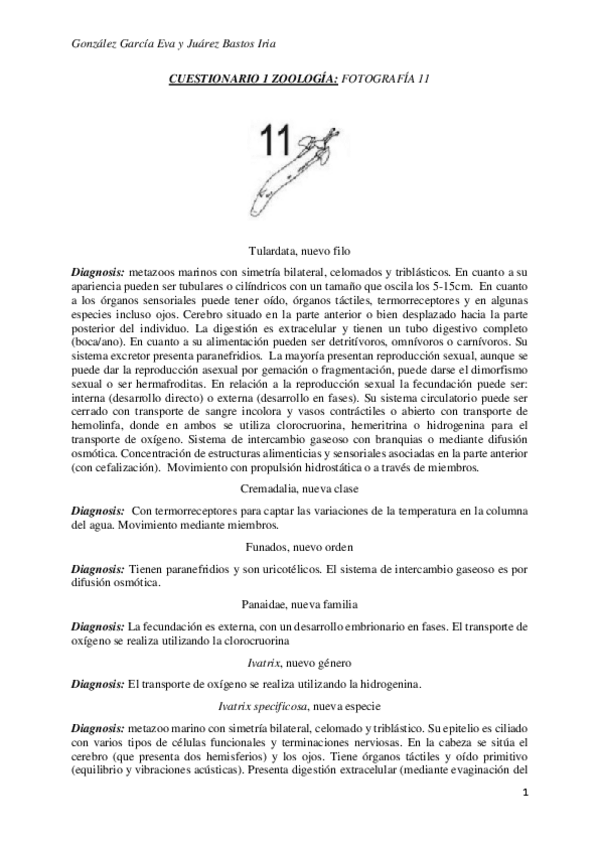 Miniatura del documento Gonzalez-Garcia-Eva-y-Juarez-Bastos-Iria-CUESTIONARIO-1.pdf