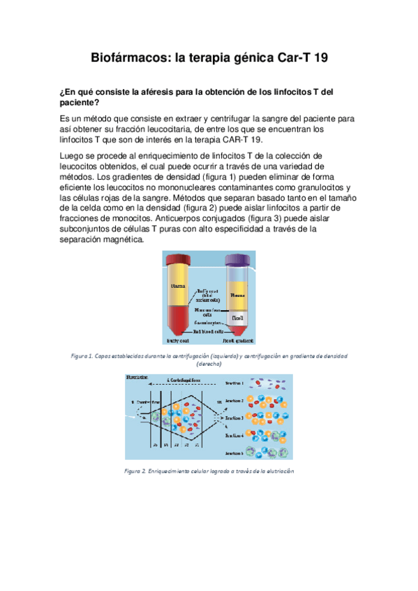 Miniatura del documento Tarea-terapia-CAR-T-19.pdf