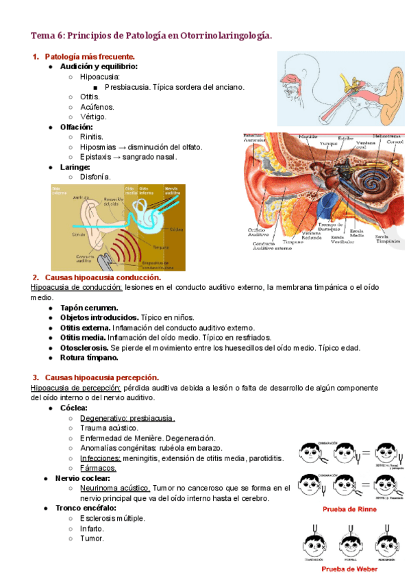 Miniatura del documento Tema-6.pdf