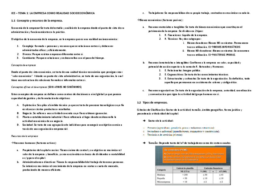 Miniatura del documento IEE-tema1.pdf