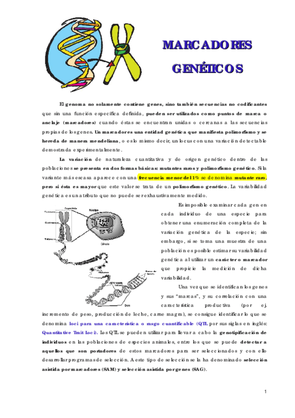 Miniatura del documento MARCADORES-GENETICOS.pdf