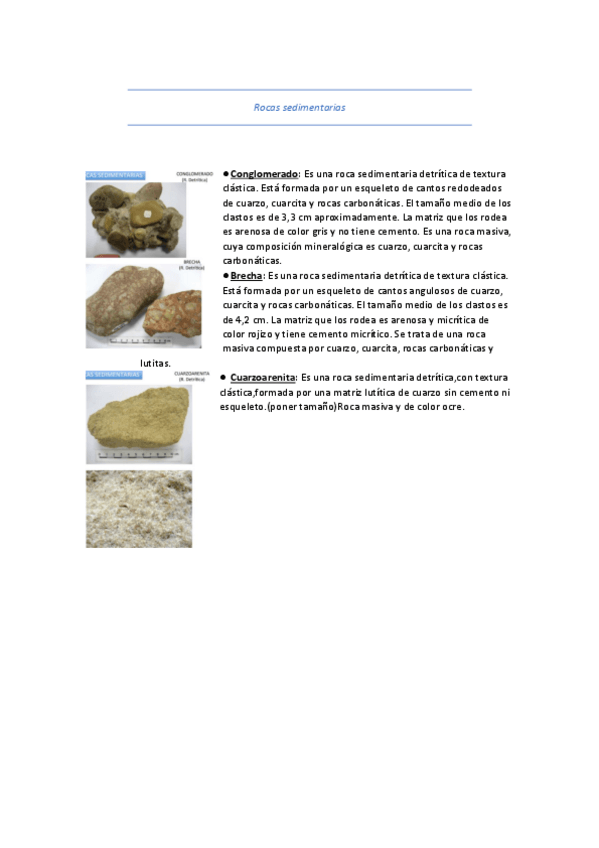 Miniatura del documento Visu-rocas-sedimentarias.pdf