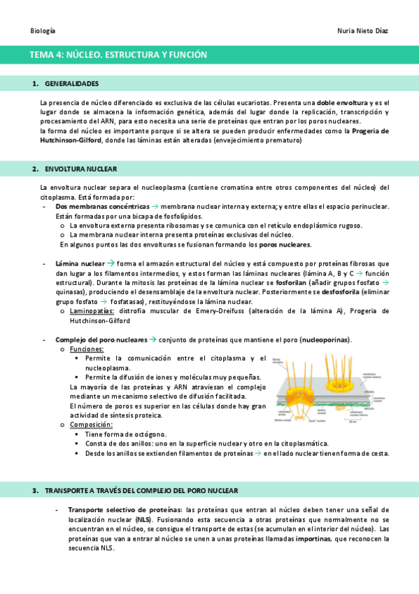 Miniatura del documento TEMA-4-Nucleo.pdf