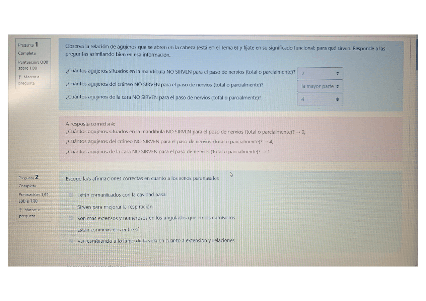 Miniatura del documento CUESTIONARIO-ESQUELETO-AXIAL-ANATOMIA.pdf