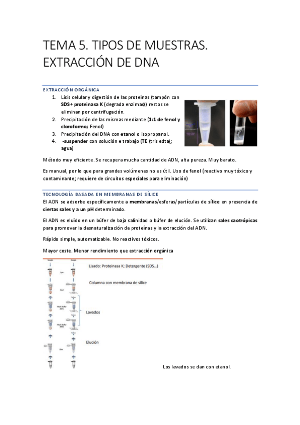 Miniatura del documento DGM-TEMA-5.pdf