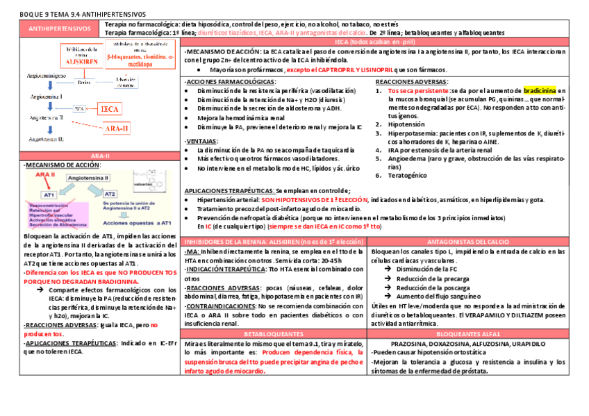 Miniatura del documento BOQUE-9-TEMA-9.pdf