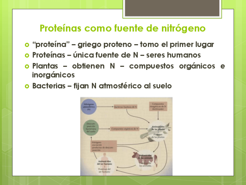 Miniatura del documento Proteinas-y-aminoacidos-generalidades.pdf