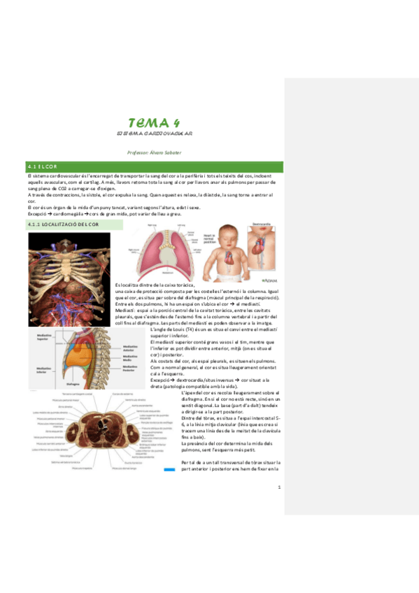 Miniatura del documento tema-4-sistema-cardiovascular.pdf