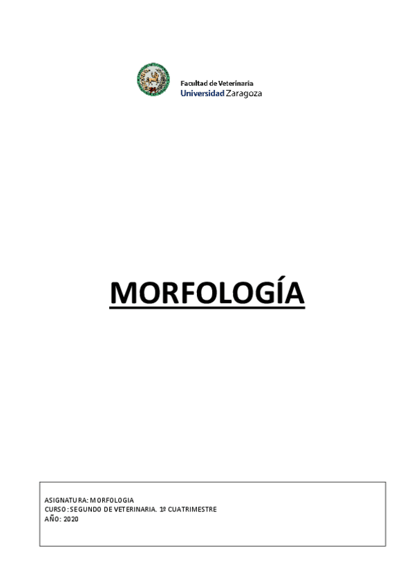 Miniatura del documento morfo-completo.pdf