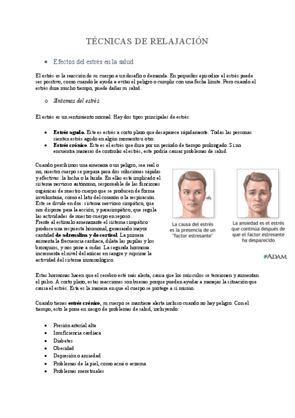 Miniatura del documento TECNICAS-DE-RELAJACION.pdf