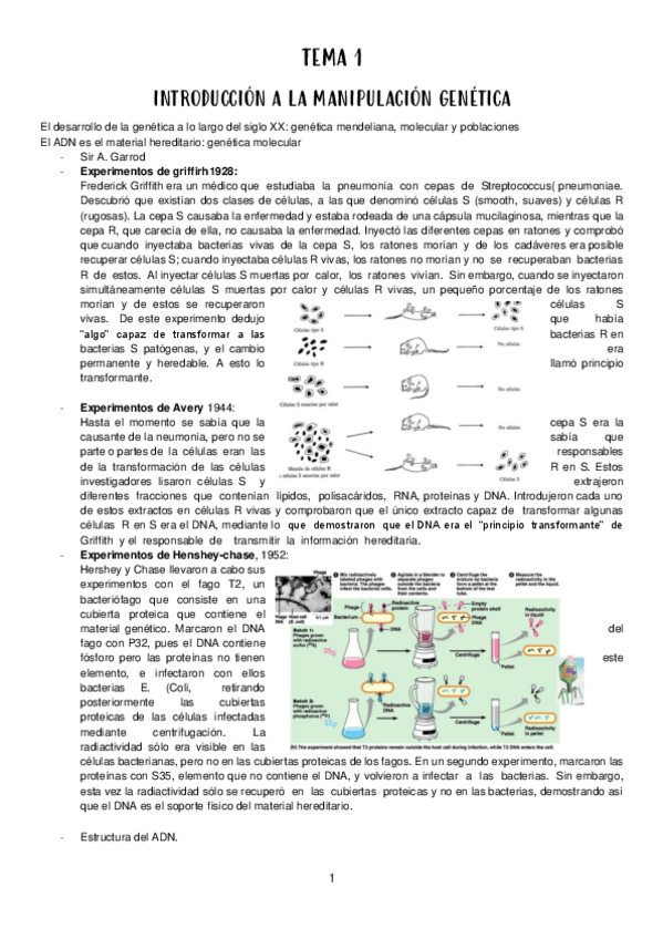 Miniatura del documento INGENIERIA-GENETICA.pdf