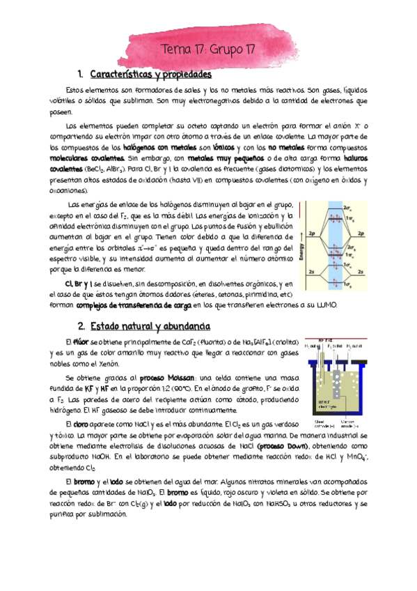 Miniatura del documento Tema-17-pdf.pdf