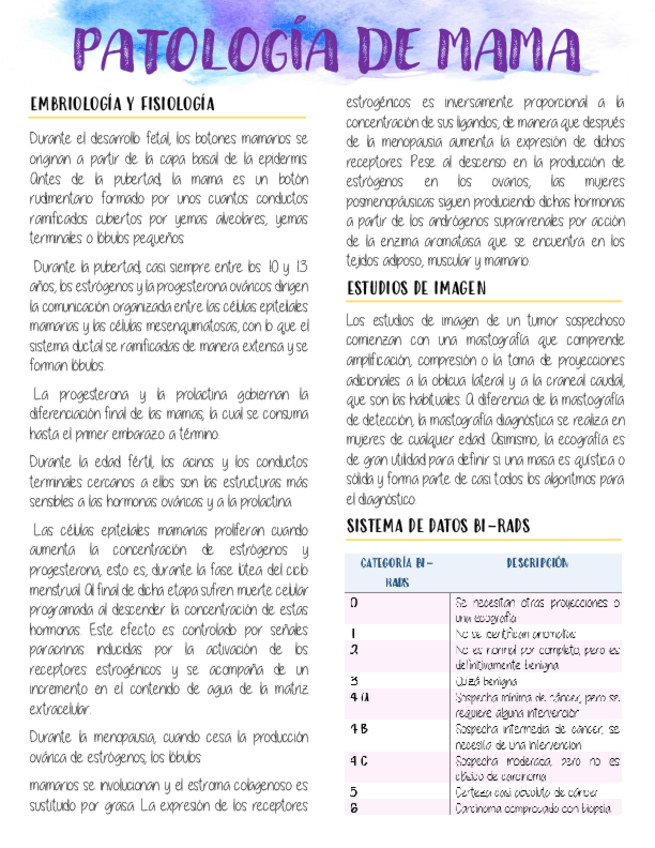 Miniatura del documento Patologia-mama-y-cancer.pdf