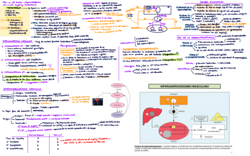 Miniatura del documento T.pdf