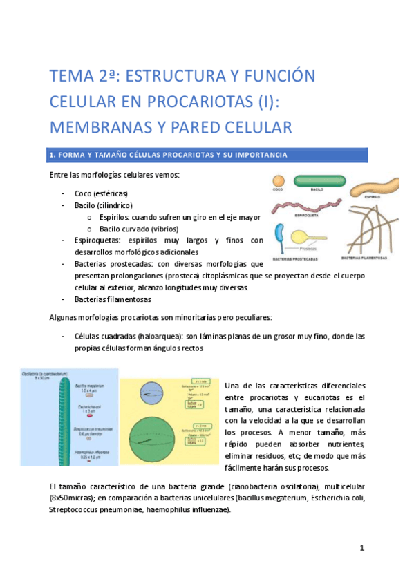 Miniatura del documento TEMA-2.pdf