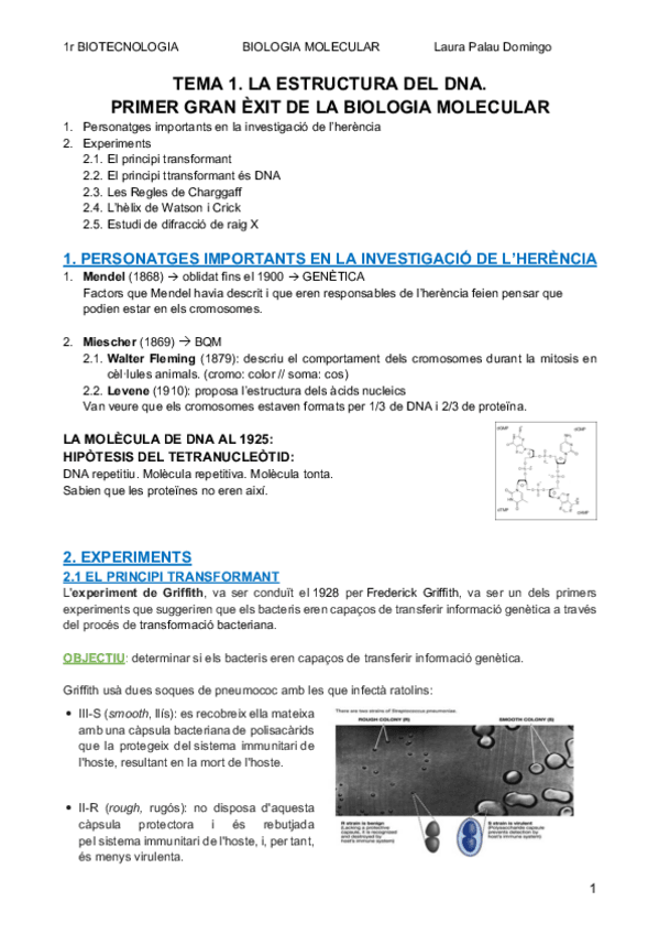 Miniatura del documento 1.pdf