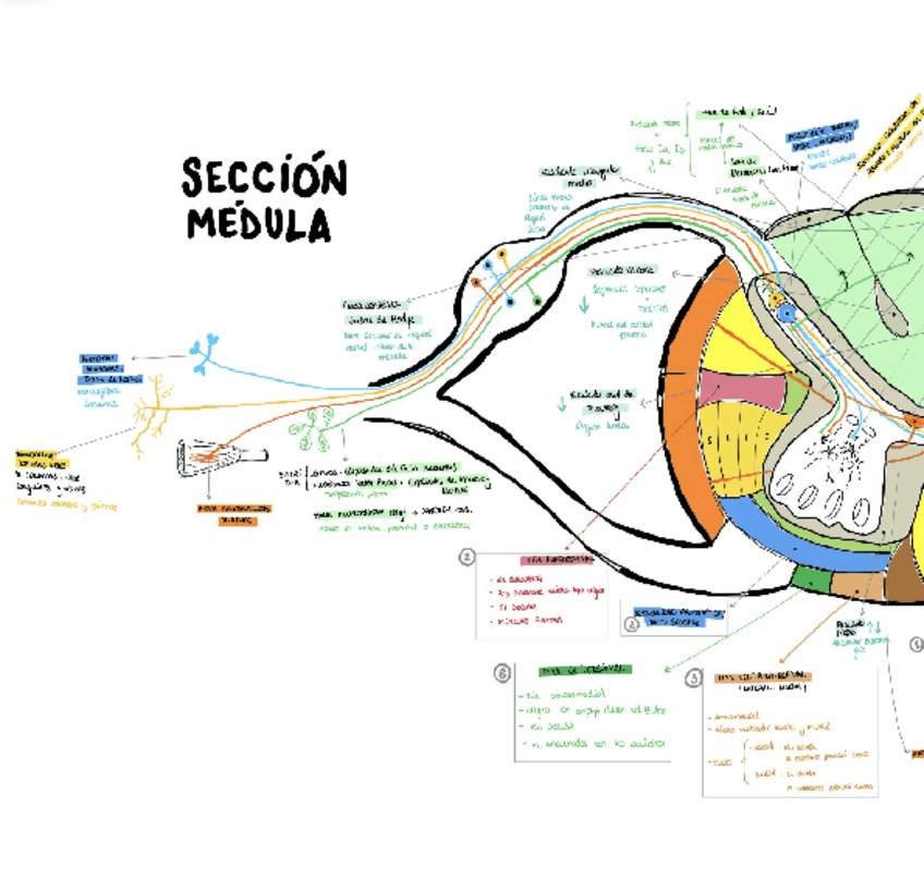 Miniatura del documento pdf24imagesmerged-2.pdf
