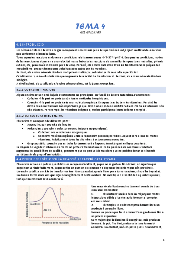 Miniatura del documento tema-4-els-enzims-i.pdf