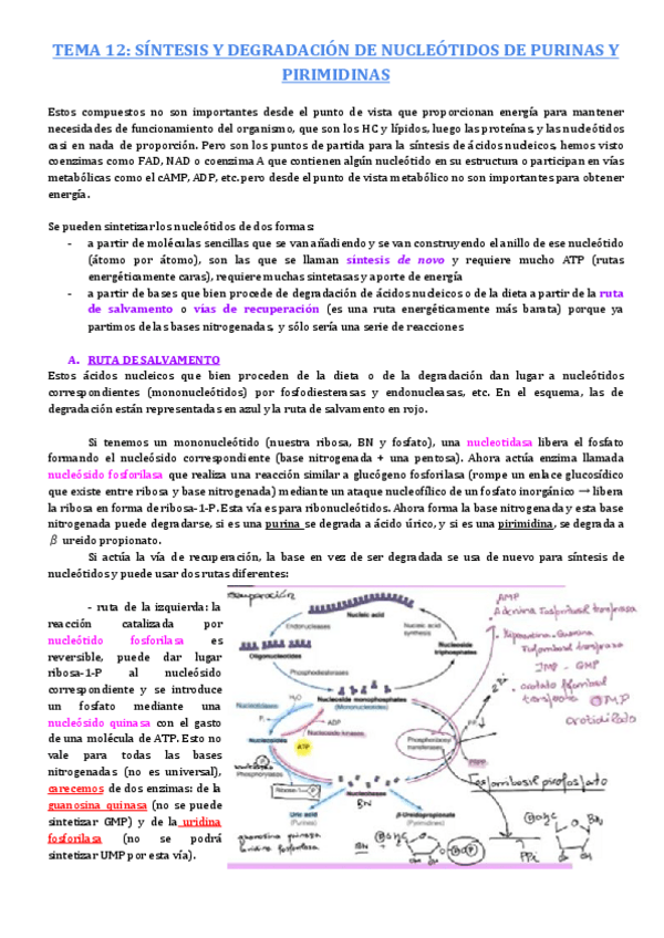 Miniatura del documento TEMA-12-2.pdf