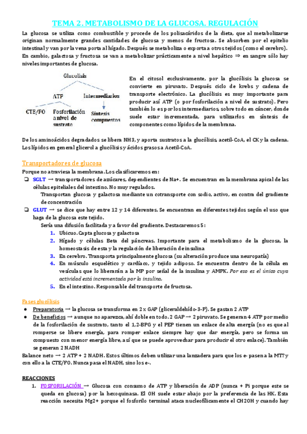 Miniatura del documento TEMA-2-3-4-Glucosa.pdf