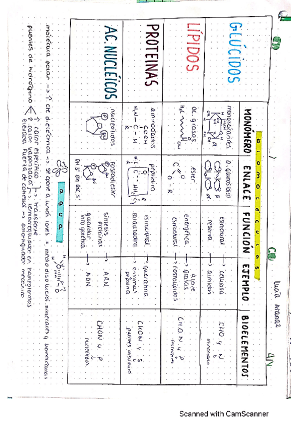 Miniatura del documento bio-2bach.pdf