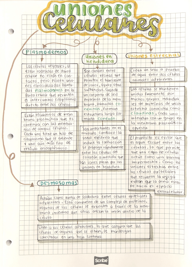 Miniatura del documento 1.pdf