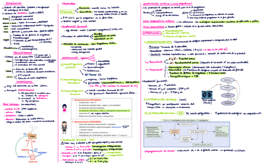 Miniatura del documento T.pdf