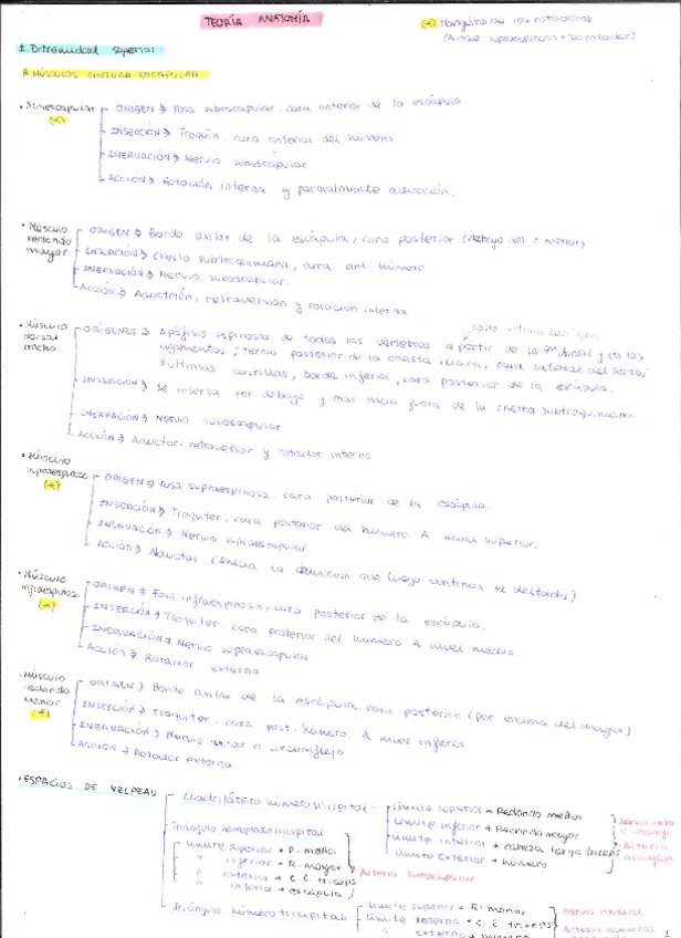 Miniatura del documento Teoria-Importante.pdf