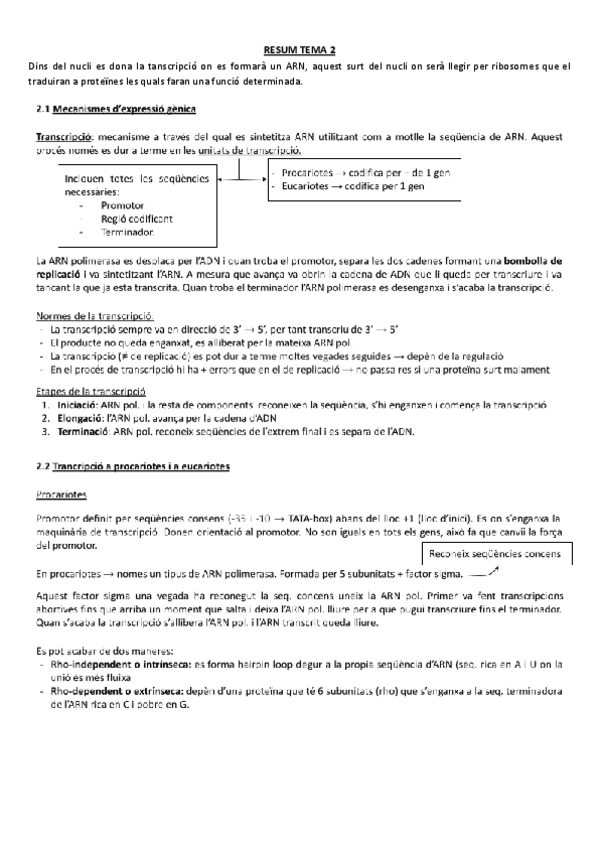 Miniatura del documento RESUM-TEMA-2.pdf