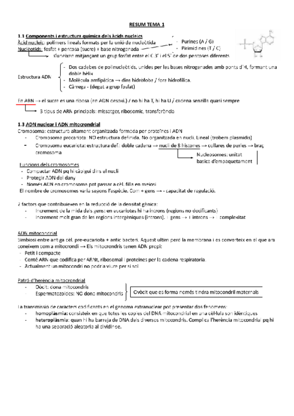 Miniatura del documento RESUM-TEMA-1.pdf