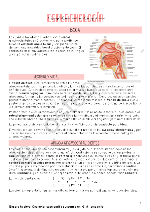 Miniatura del documento E1.pdf
