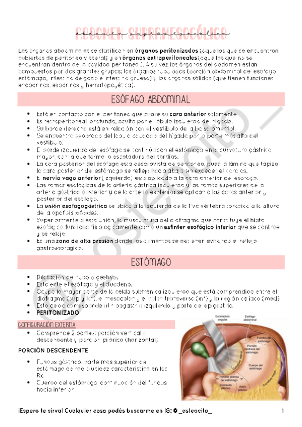 Miniatura del documento E6.pdf