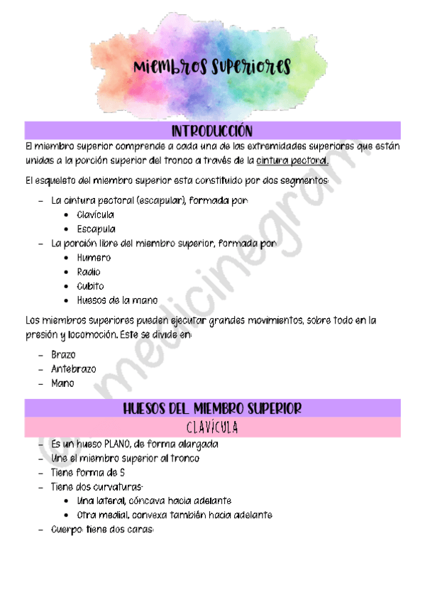 Miniatura del documento MIEMBRO-SUPERIOR.pdf