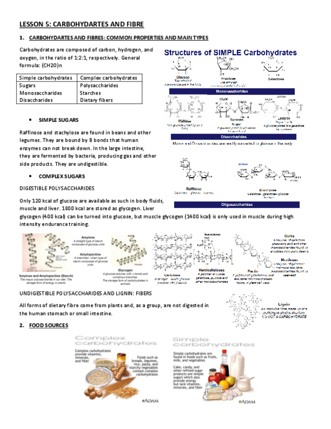 Miniatura del documento LESSON-5.pdf