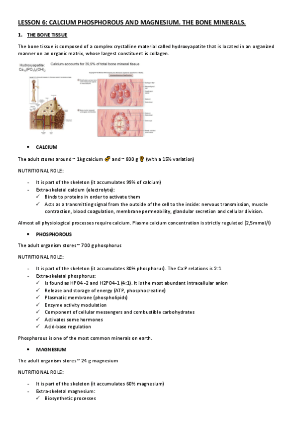 Miniatura del documento LESSON-7.pdf