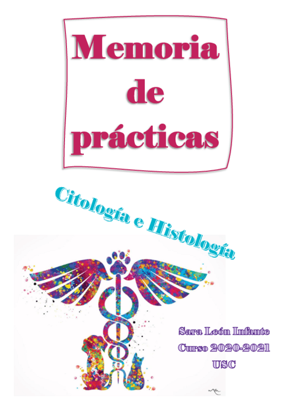 Miniatura del documento LeonInfnateSara.pdf