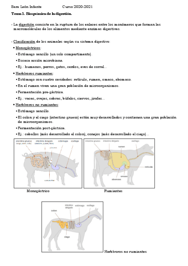 Miniatura del documento apuntes.pdf