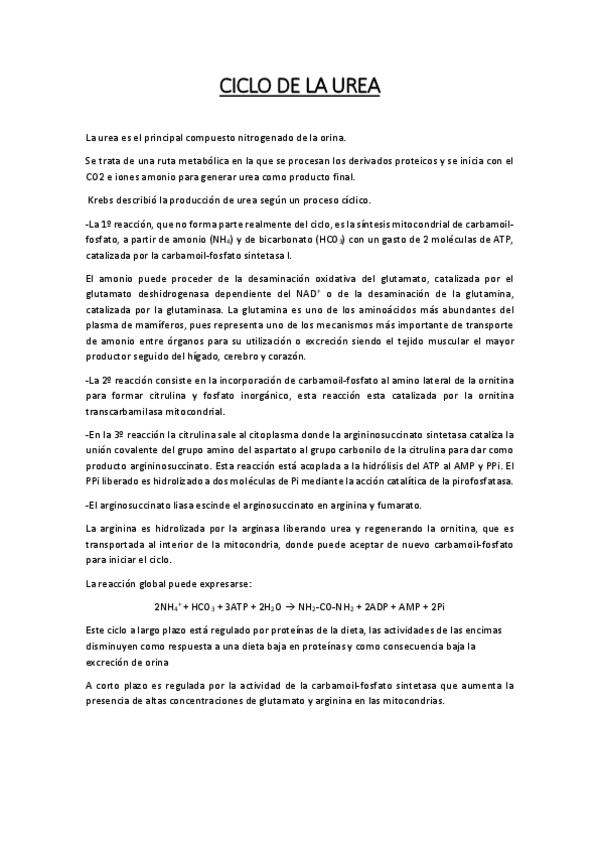 Miniatura del documento Ciclo-de-la-urea.pdf