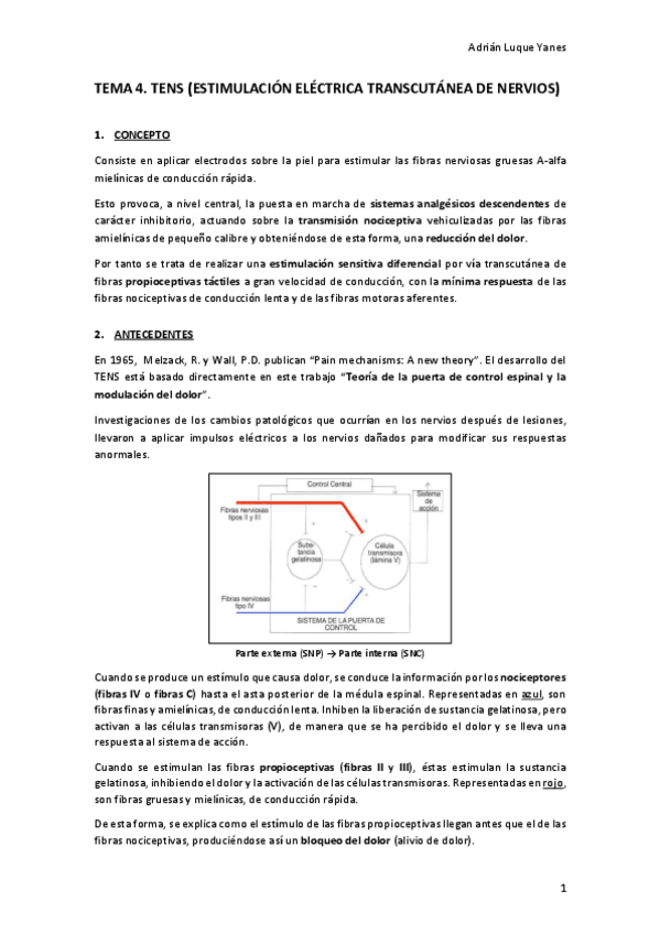 Miniatura del documento TEMA 4. TENS