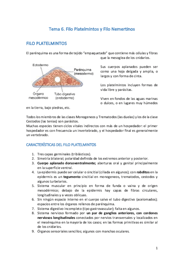 Miniatura del documento Tema 6. Platelmintos y Nemertinos.pdf