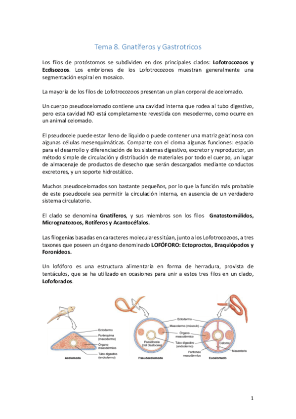 Miniatura del documento Tema 8. Gnatíferos y Gastrotricos.pdf
