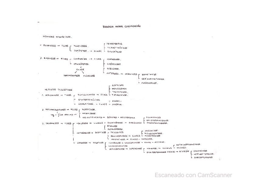 Miniatura del documento Parte-Animales.pdf