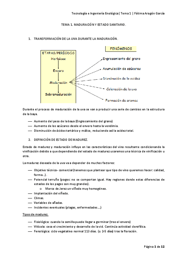Miniatura del documento Tema 1.pdf
